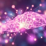 O Processo de Aprovação de Empréstimos: Desvendando o Algoritmo