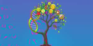 O DNA do Sucesso: Rentabilidade em Cada Detalhe