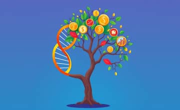 O DNA do Sucesso: Rentabilidade em Cada Detalhe