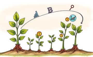 O Ciclo de Vida do Produto na Análise Financeira